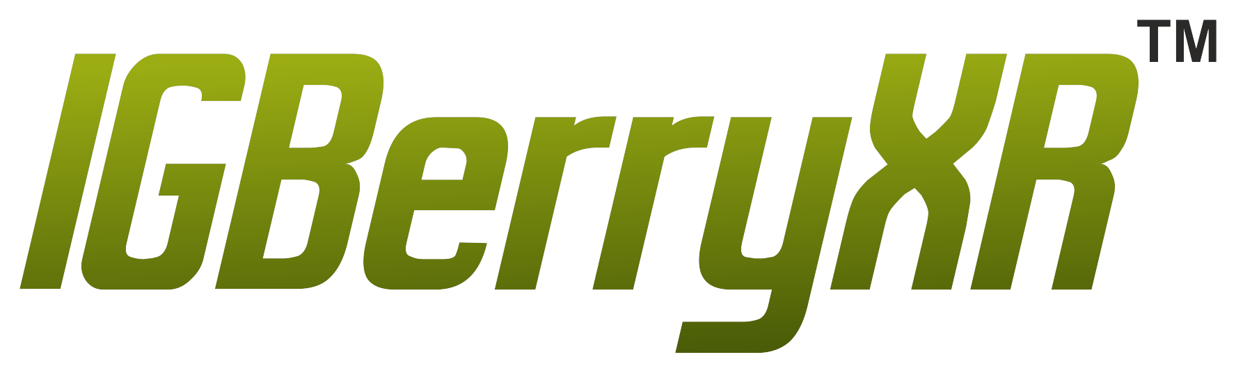 IGBerryXR